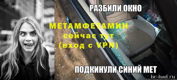прущие грибы Козловка