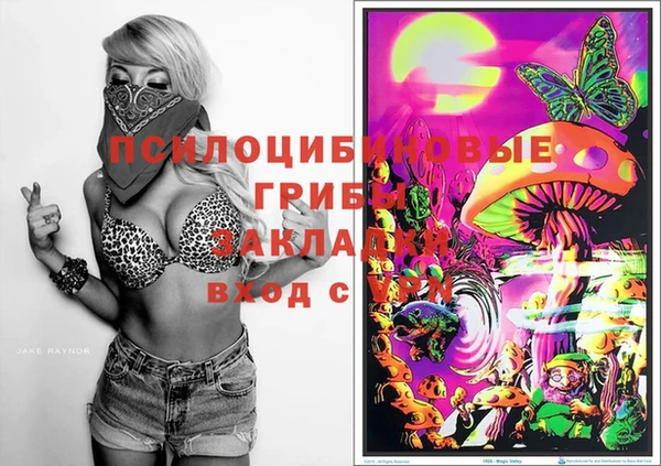 прущие грибы Козловка