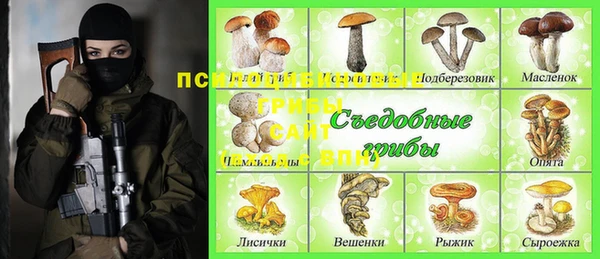 кокс Козельск