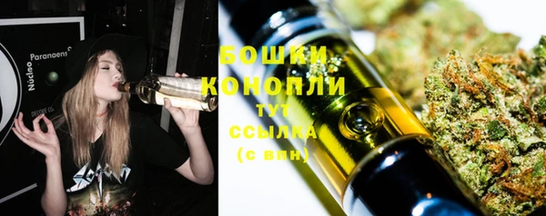 стафф Краснослободск