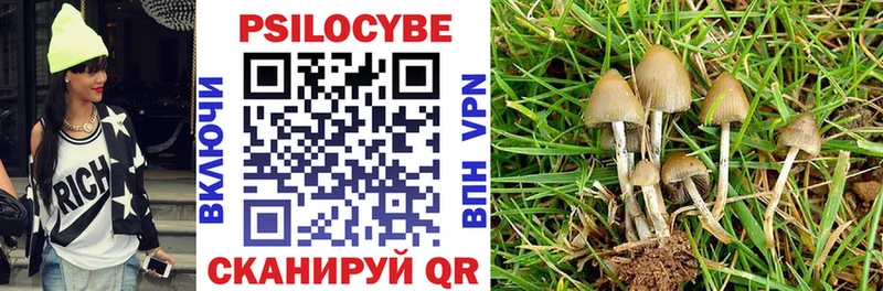 OMG вход  Лебедянь  shop как зайти  Псилоцибиновые грибы Psilocybine cubensis 